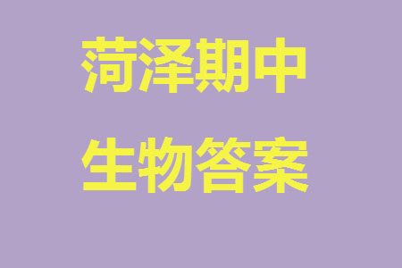 菏澤市2023-2024學(xué)年高三上學(xué)期期中考試生物試題A答案