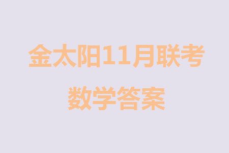 2024屆遼寧金太陽高三上學期11月16號聯(lián)考數(shù)學試題答案