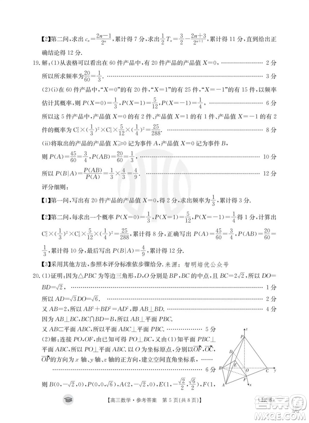 2024屆湖北金太陽高三上學(xué)期11月16號聯(lián)考數(shù)學(xué)試題答案