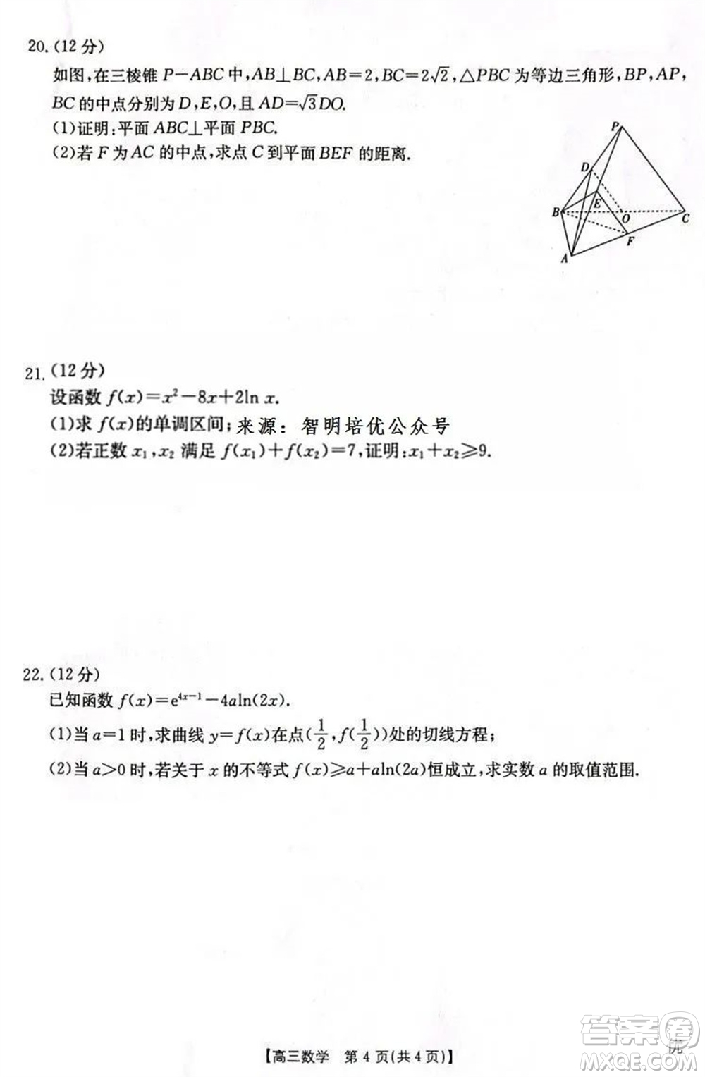 2024屆遼寧金太陽高三上學期11月16號聯(lián)考數(shù)學試題答案