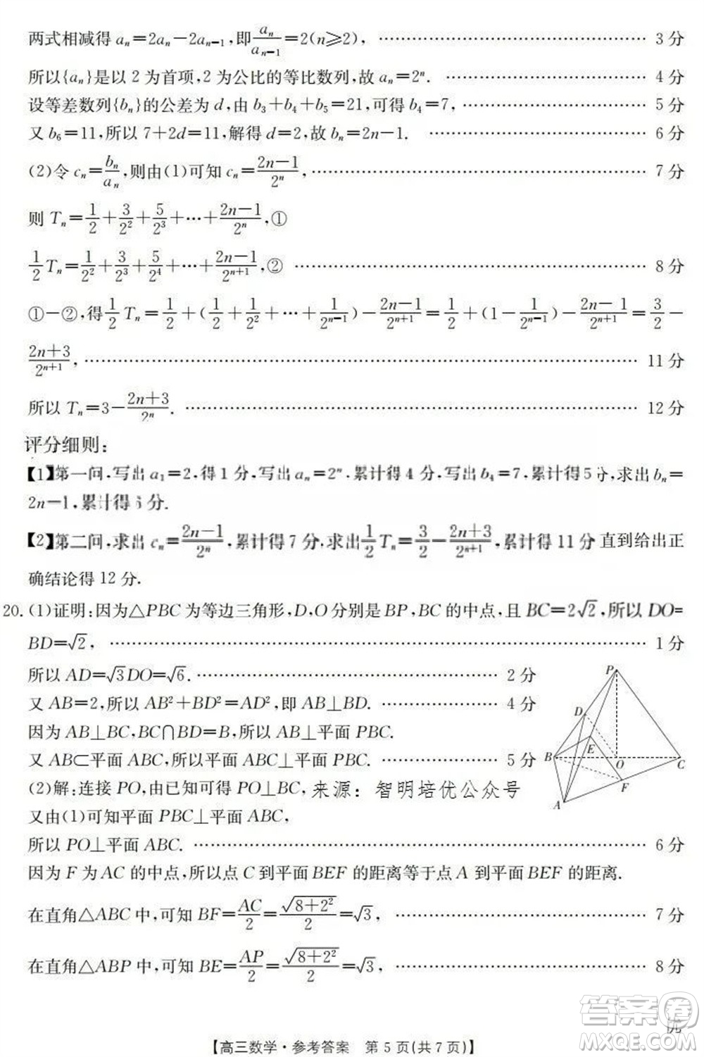 2024屆遼寧金太陽高三上學期11月16號聯(lián)考數(shù)學試題答案