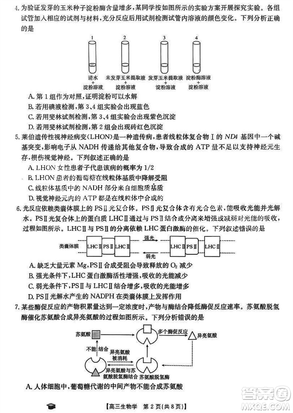 2024屆福建金太陽高三上學(xué)期11月16號聯(lián)考生物參考答案