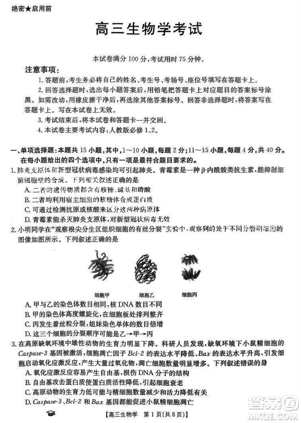 2024屆福建金太陽高三上學(xué)期11月16號聯(lián)考生物參考答案