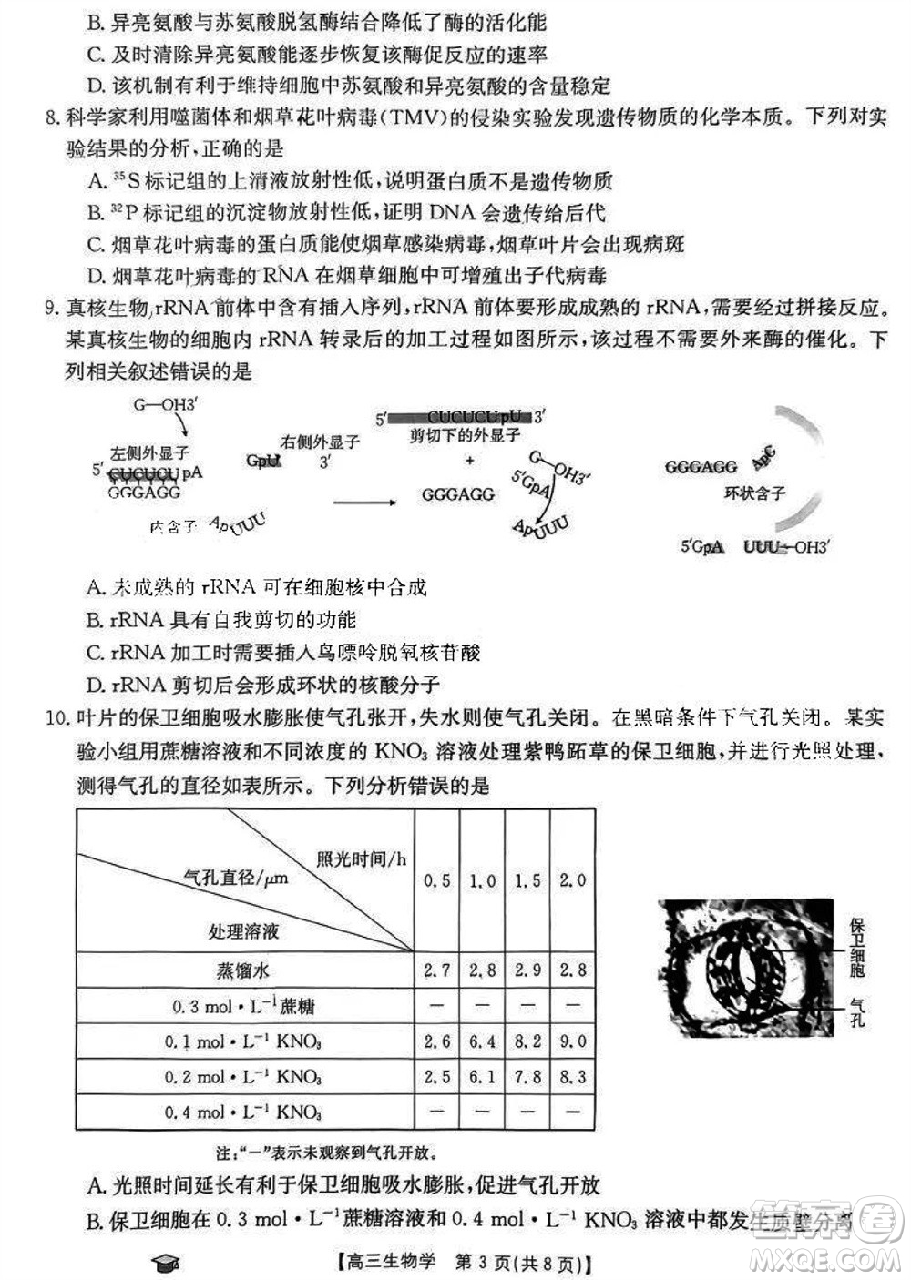 2024屆福建金太陽高三上學(xué)期11月16號聯(lián)考生物參考答案