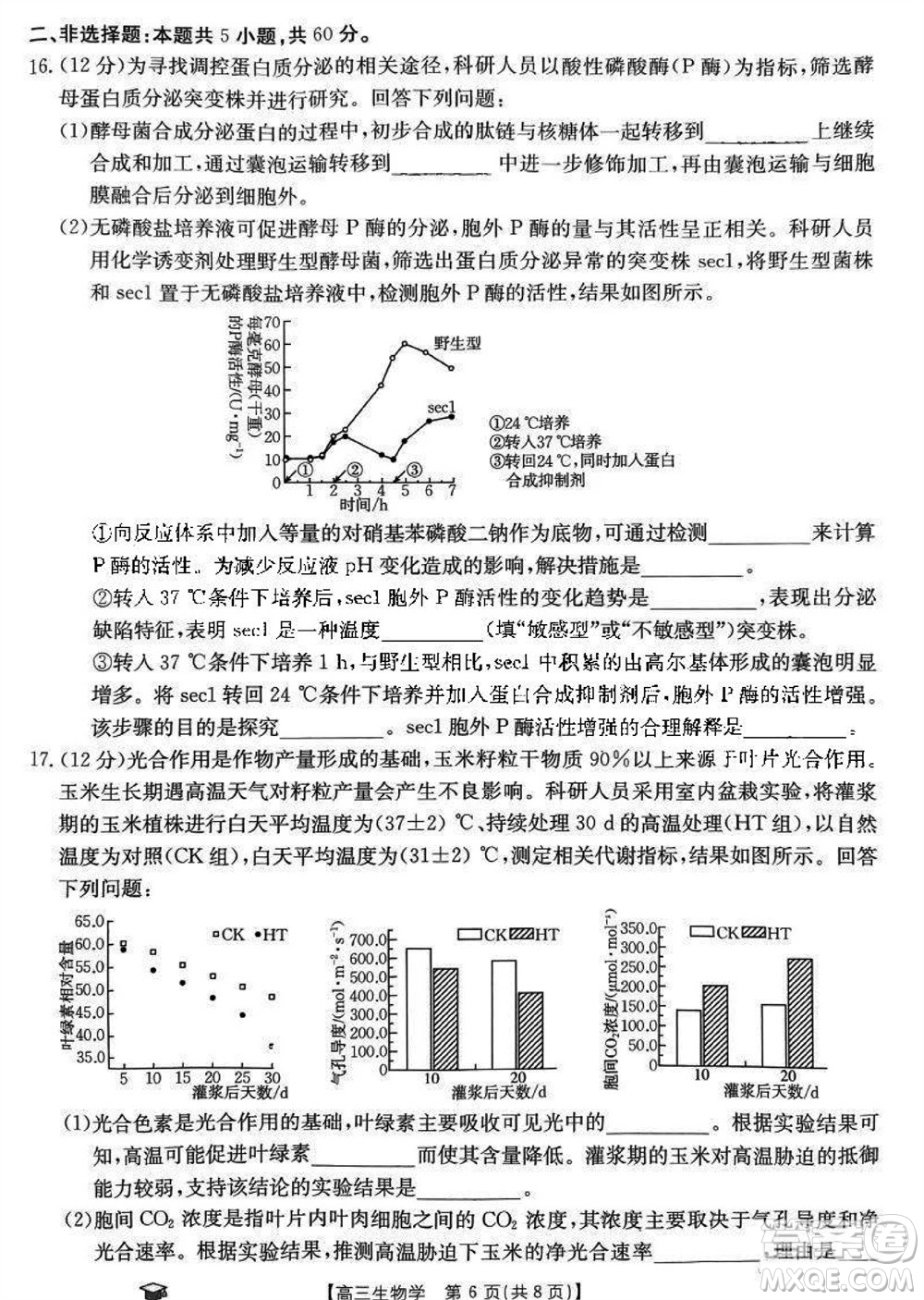 2024屆福建金太陽高三上學(xué)期11月16號聯(lián)考生物參考答案