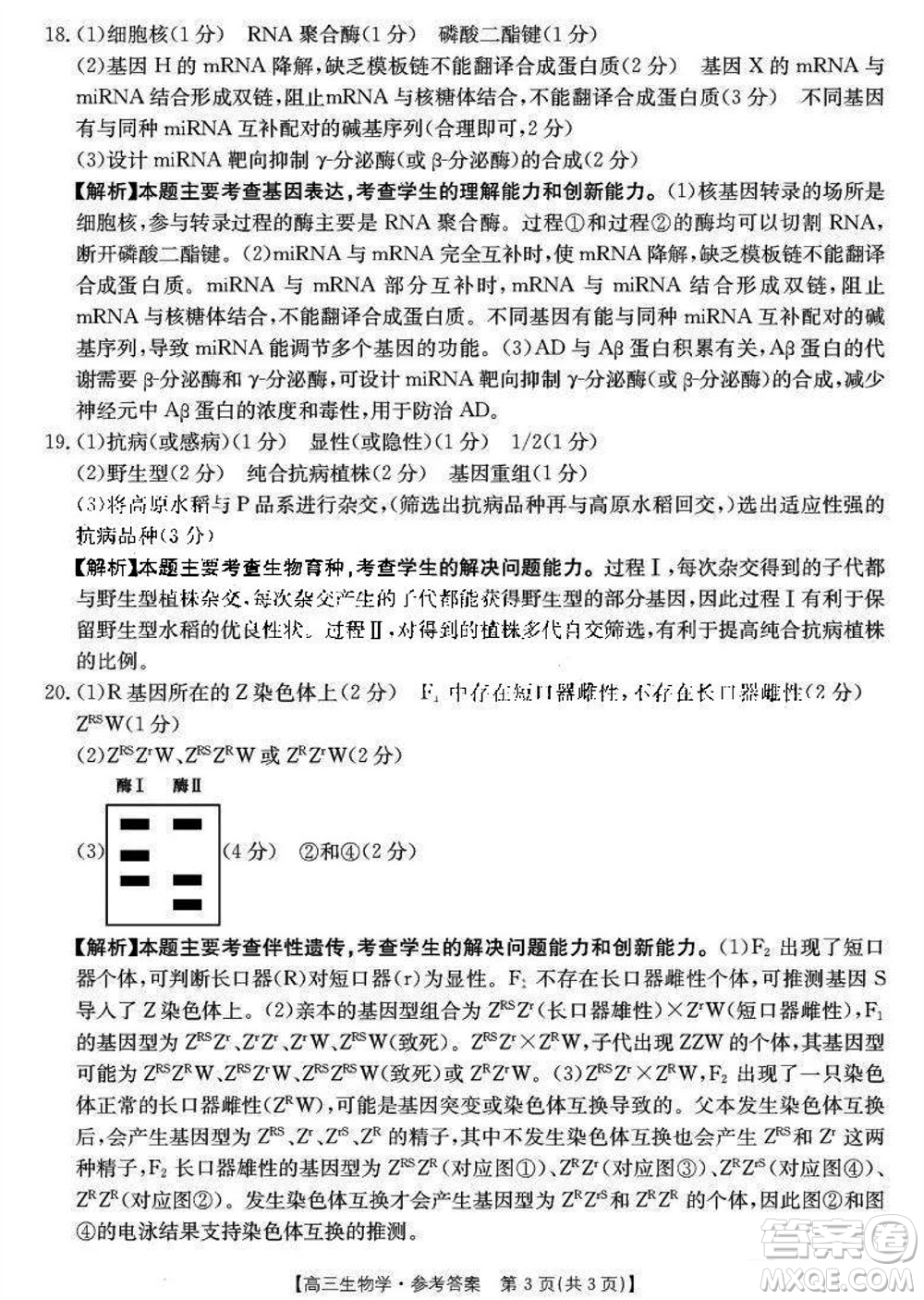 2024屆福建金太陽高三上學(xué)期11月16號聯(lián)考生物參考答案