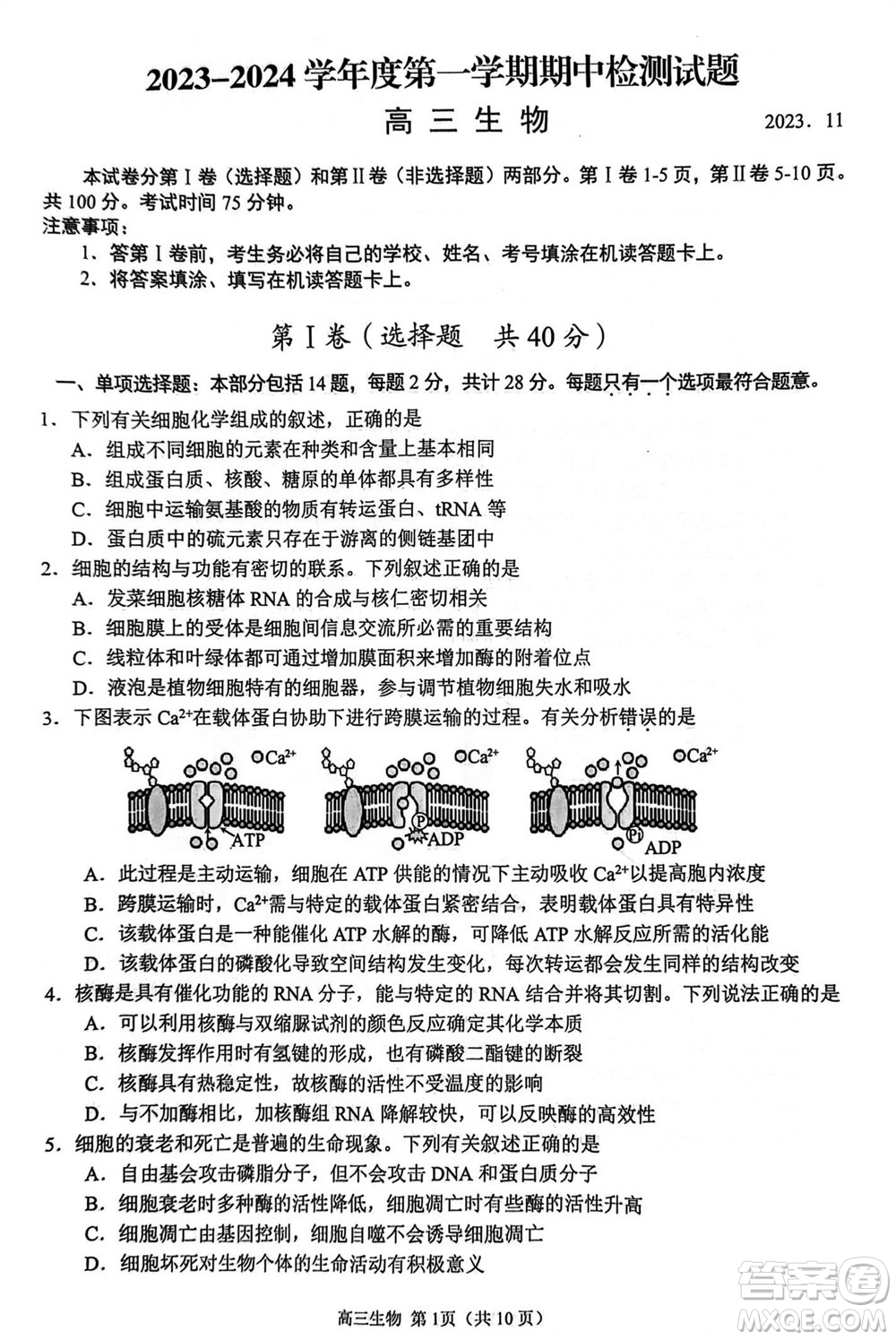 揚(yáng)州市2023-2024學(xué)年高三上學(xué)期期中檢測(cè)試題生物答案