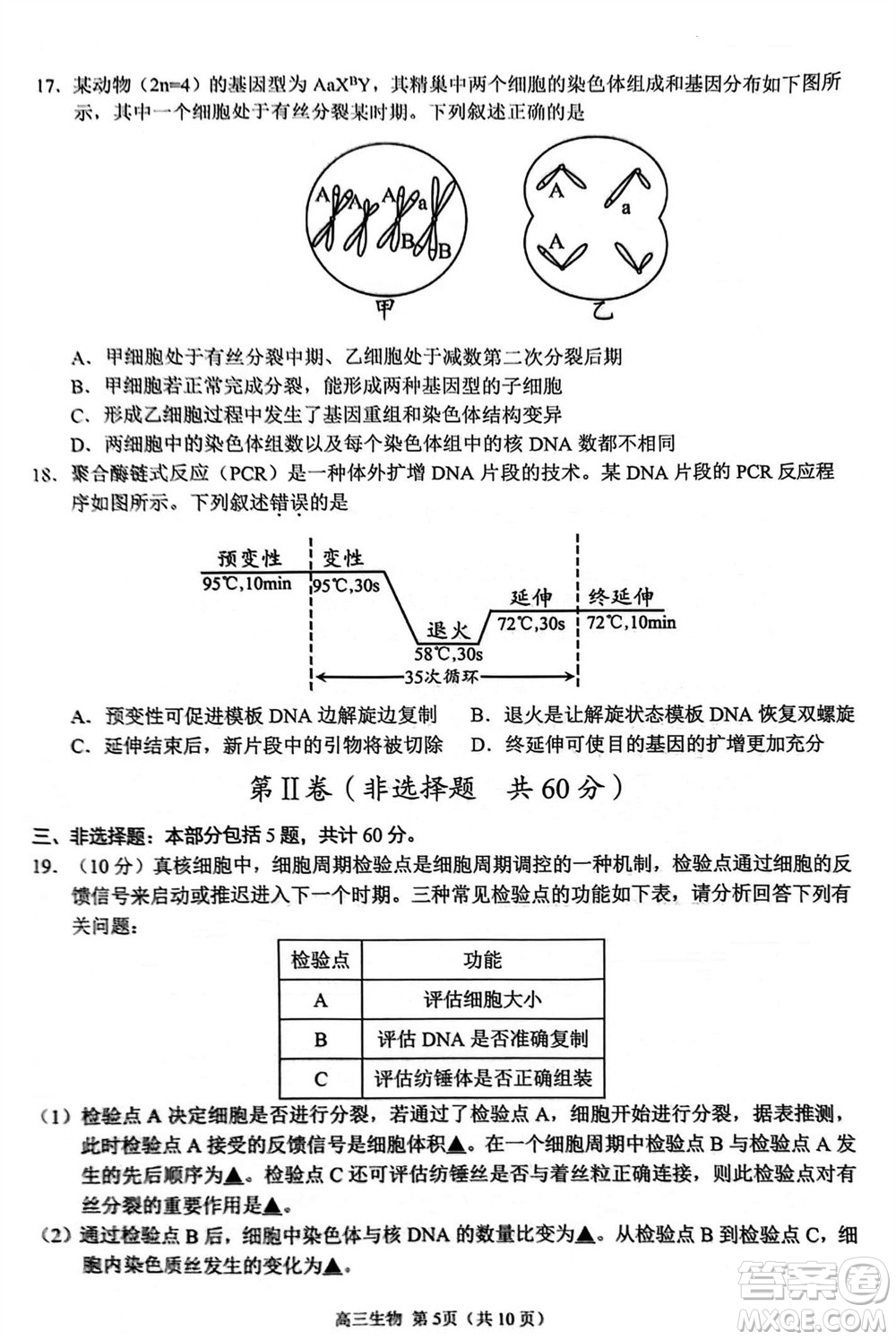 揚(yáng)州市2023-2024學(xué)年高三上學(xué)期期中檢測(cè)試題生物答案