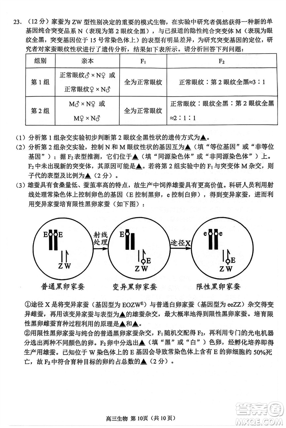 揚(yáng)州市2023-2024學(xué)年高三上學(xué)期期中檢測(cè)試題生物答案