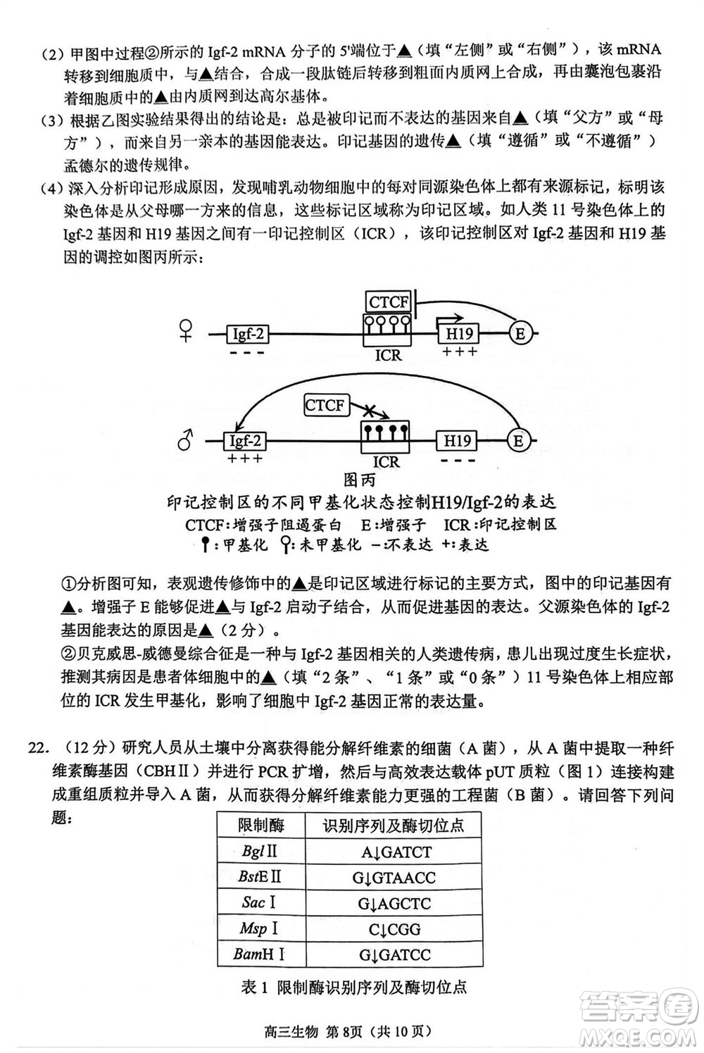 揚(yáng)州市2023-2024學(xué)年高三上學(xué)期期中檢測(cè)試題生物答案