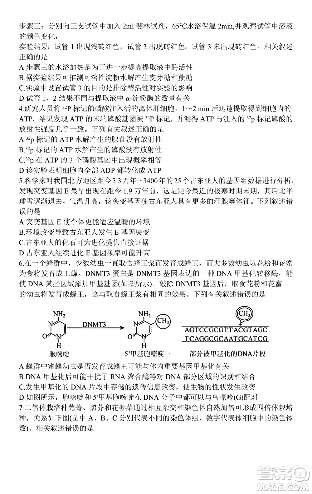 貴陽市2023年普通高中高三年級上學(xué)期11月質(zhì)量監(jiān)測試卷生物答案