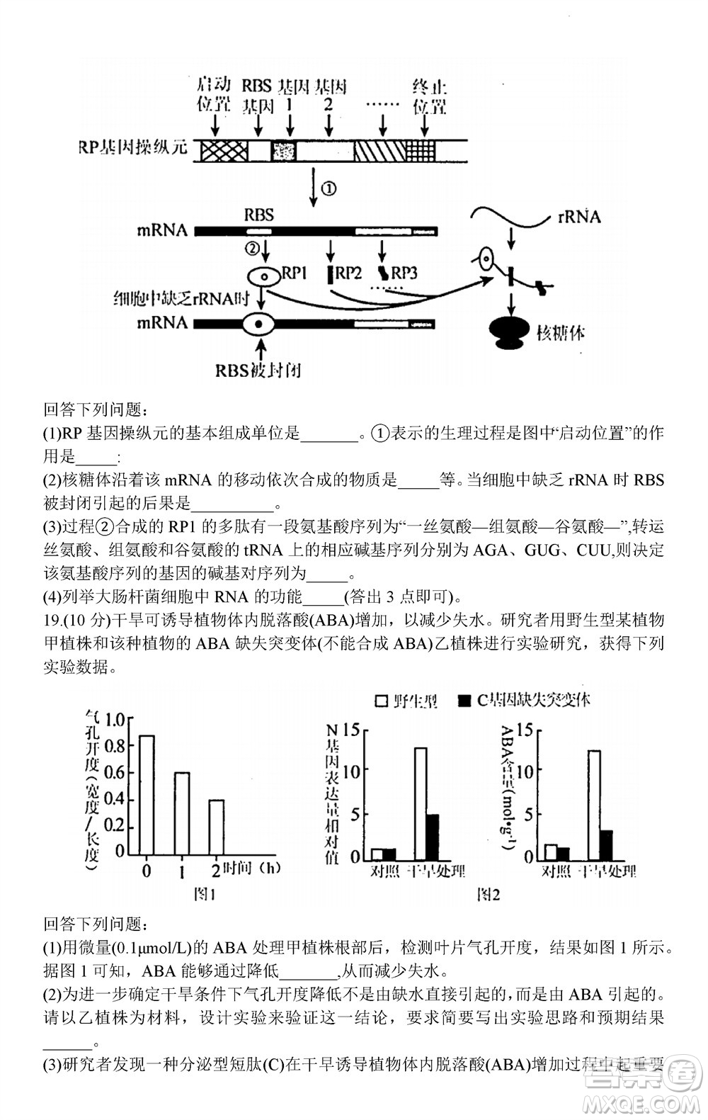 貴陽市2023年普通高中高三年級上學(xué)期11月質(zhì)量監(jiān)測試卷生物答案