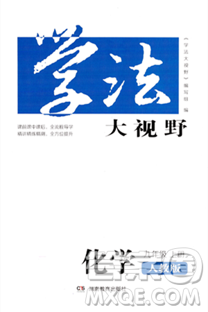 湖南教育出版社2023年秋學(xué)法大視野九年級(jí)化學(xué)上冊(cè)人教版答案