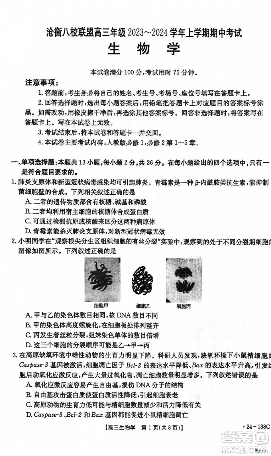 河北滄衡八校聯(lián)盟2024屆高三上學(xué)期期中考試金太陽(yáng)138C生物試題答案