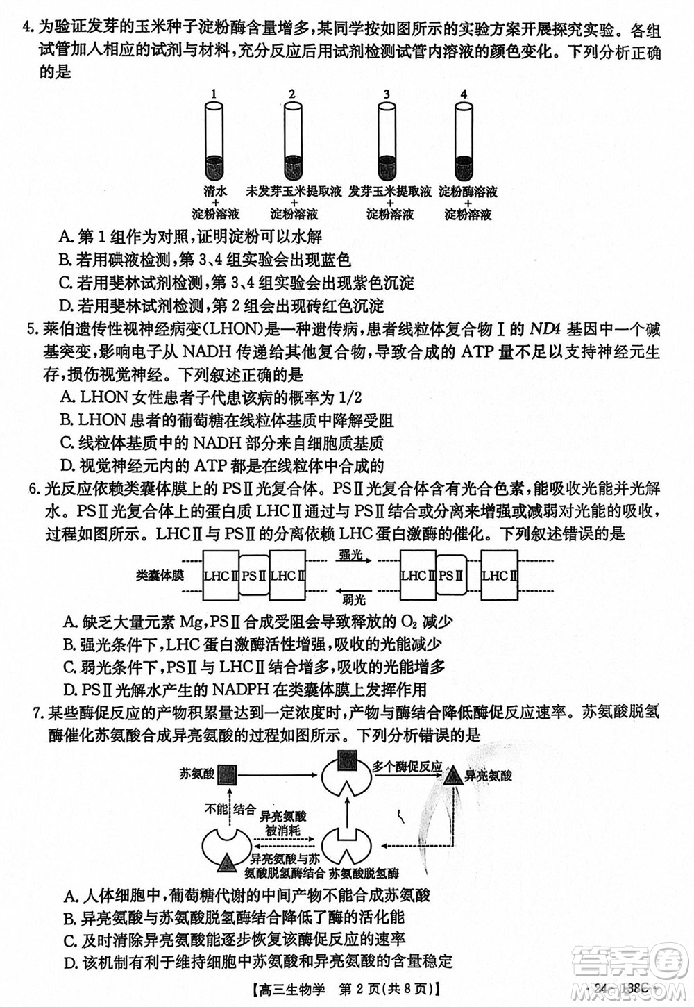 河北滄衡八校聯(lián)盟2024屆高三上學(xué)期期中考試金太陽(yáng)138C生物試題答案