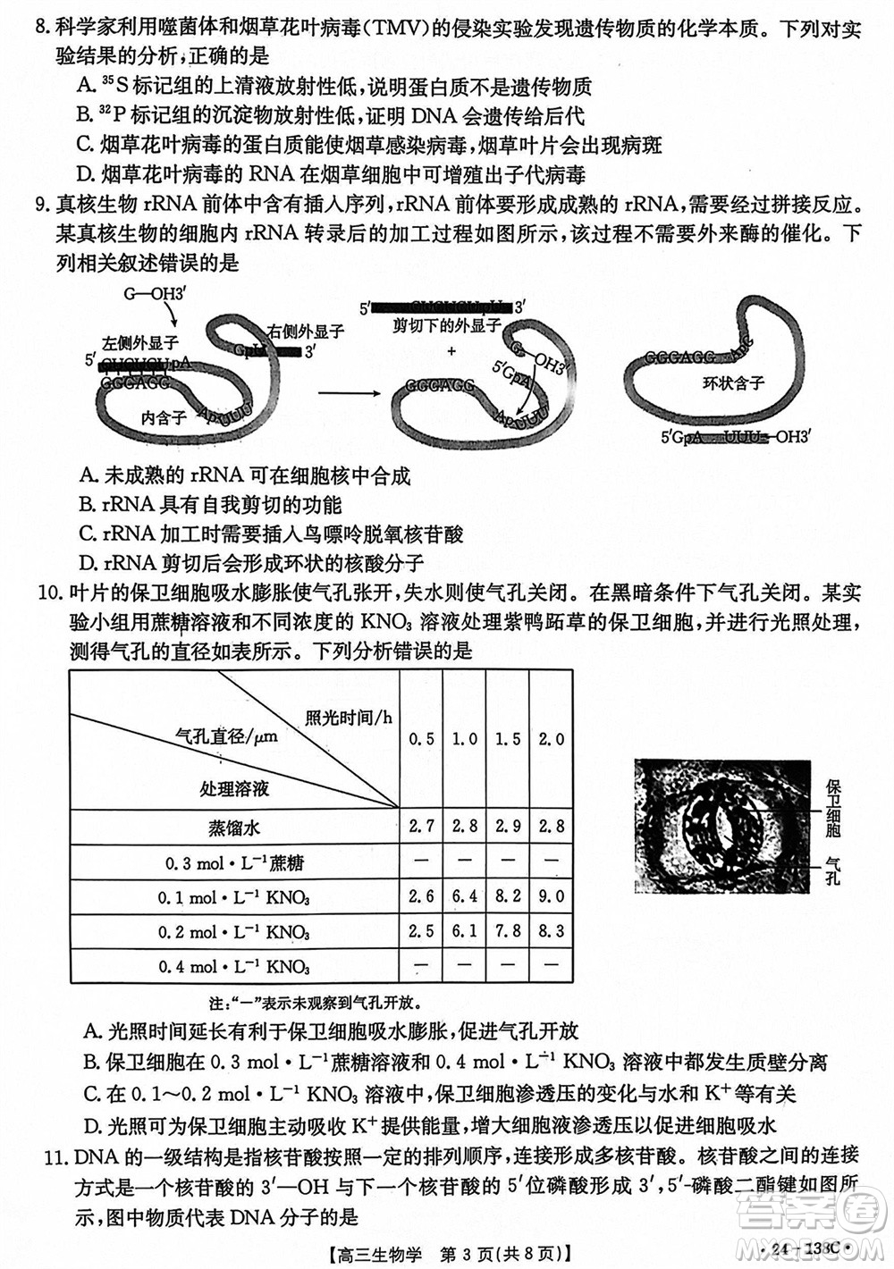 河北滄衡八校聯(lián)盟2024屆高三上學(xué)期期中考試金太陽(yáng)138C生物試題答案