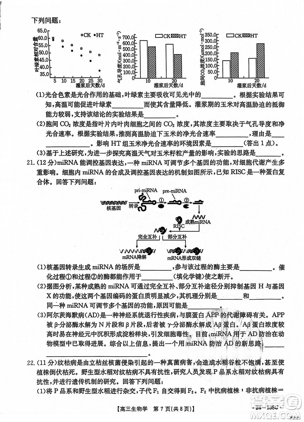 河北滄衡八校聯(lián)盟2024屆高三上學(xué)期期中考試金太陽(yáng)138C生物試題答案