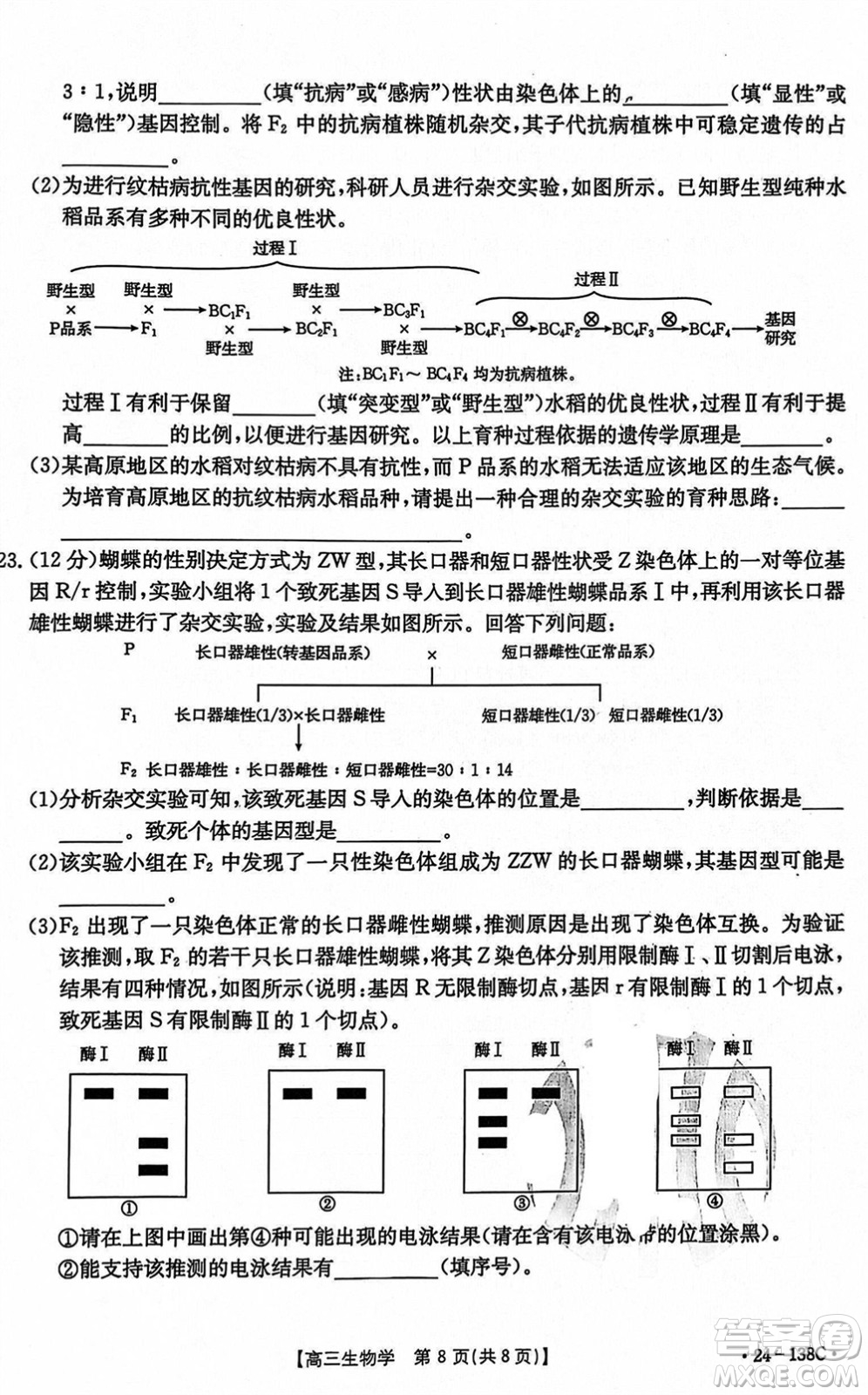 河北滄衡八校聯(lián)盟2024屆高三上學(xué)期期中考試金太陽(yáng)138C生物試題答案