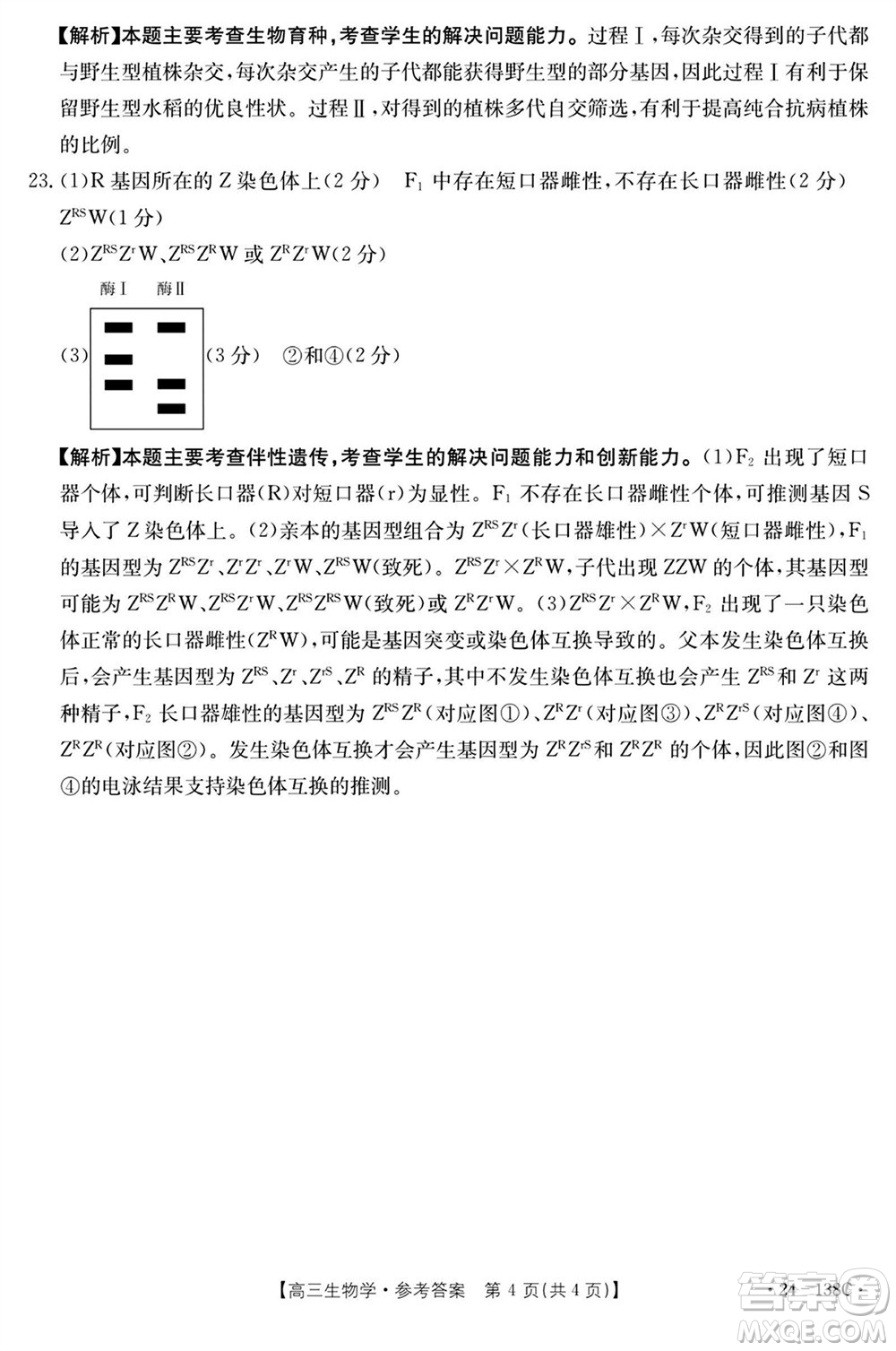 河北滄衡八校聯(lián)盟2024屆高三上學(xué)期期中考試金太陽(yáng)138C生物試題答案