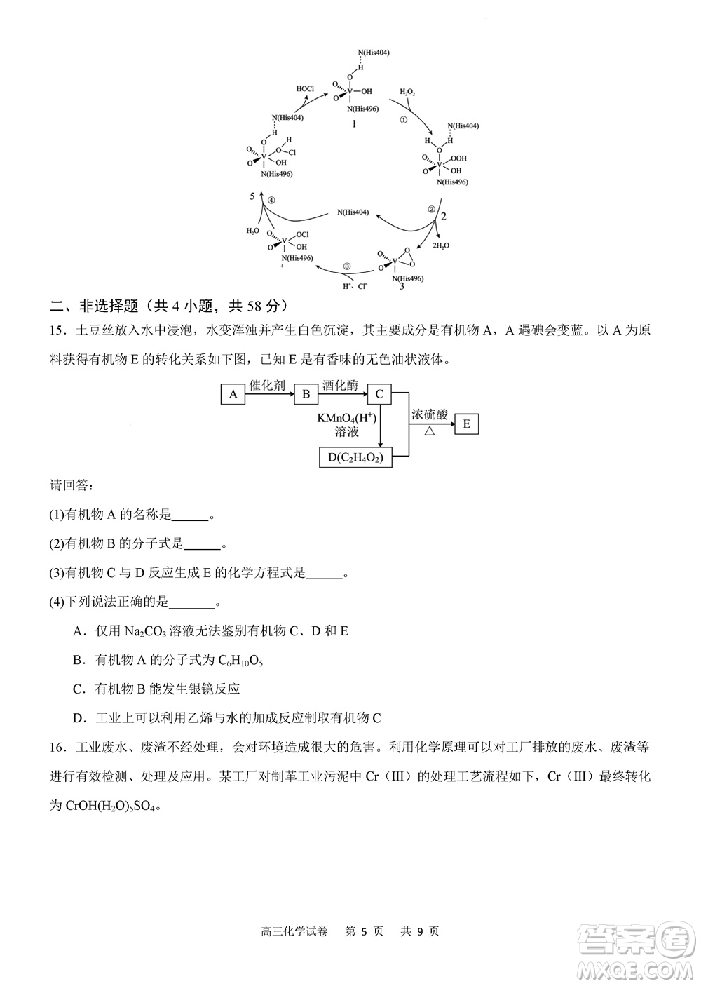 重慶市縉云教育聯(lián)盟2023-2024學年高三上學期11月質(zhì)量檢測化學答案