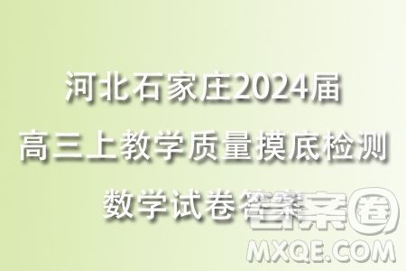 河北石家莊2024屆高三上學(xué)期教學(xué)質(zhì)量摸底檢測(cè)數(shù)學(xué)試卷答案