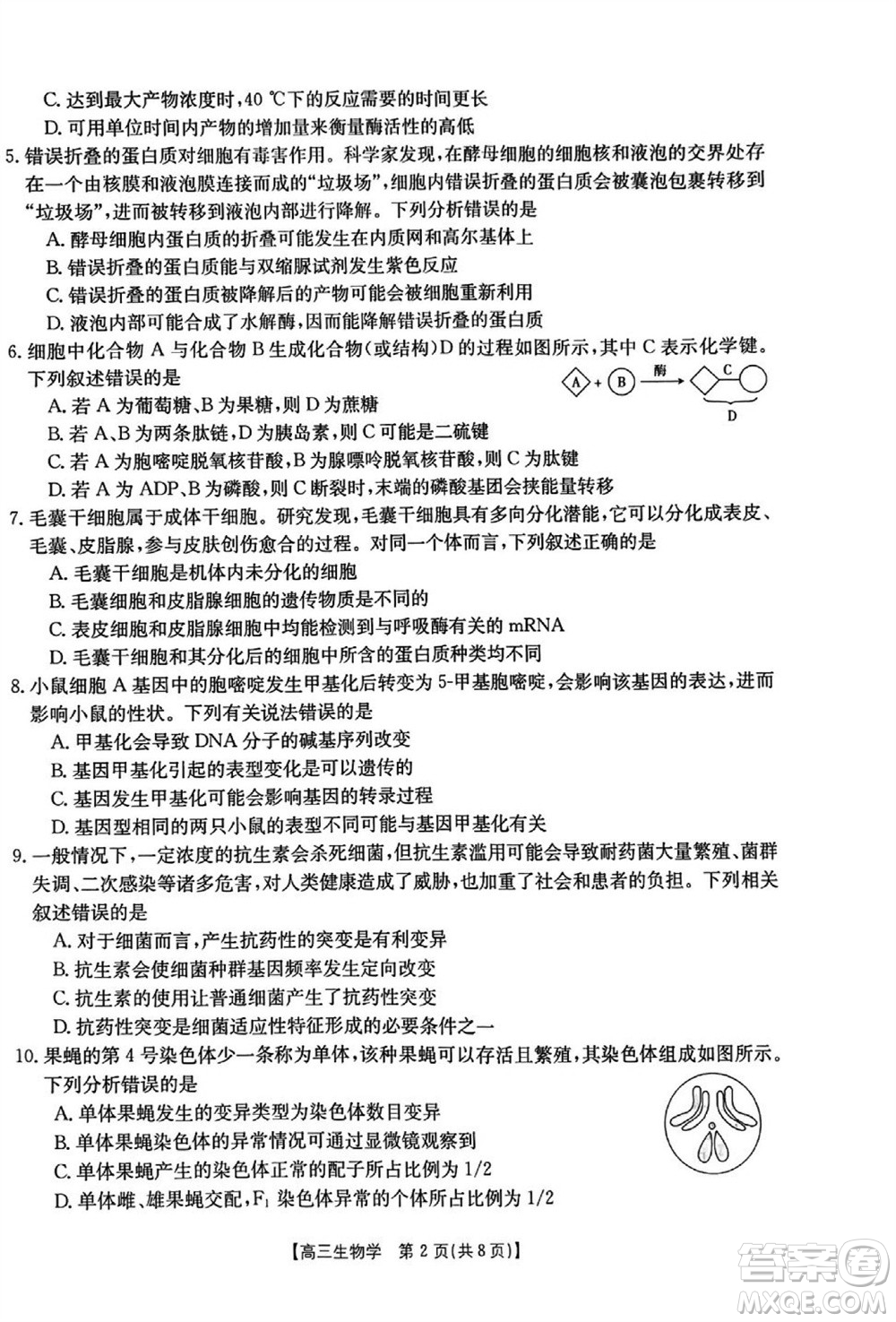 山西省2024屆高三上學(xué)期11月金太陽聯(lián)考生物試題答案
