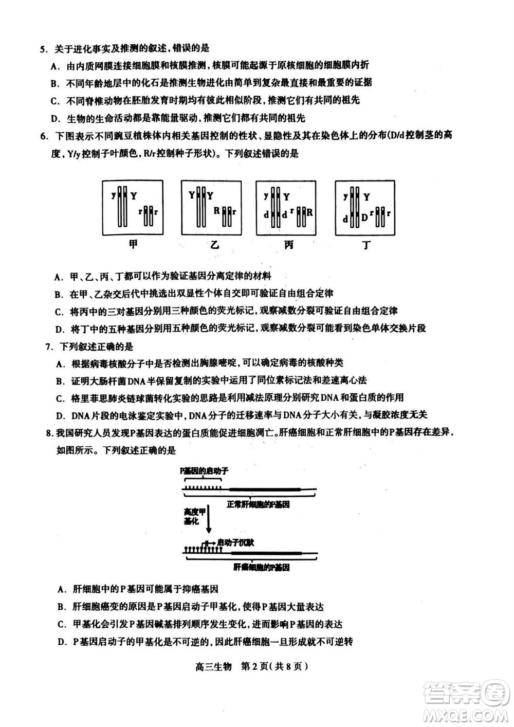 石家莊市2024屆高三上學(xué)期11月教學(xué)質(zhì)量摸底檢測生物答案