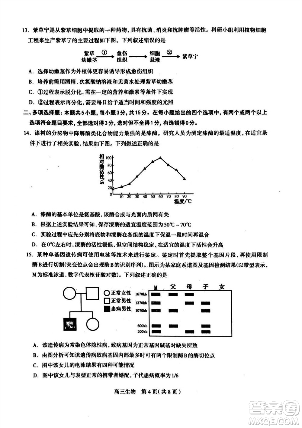 石家莊市2024屆高三上學(xué)期11月教學(xué)質(zhì)量摸底檢測生物答案