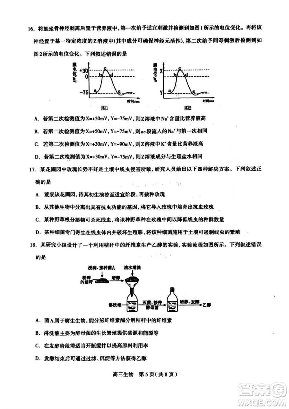 石家莊市2024屆高三上學(xué)期11月教學(xué)質(zhì)量摸底檢測生物答案