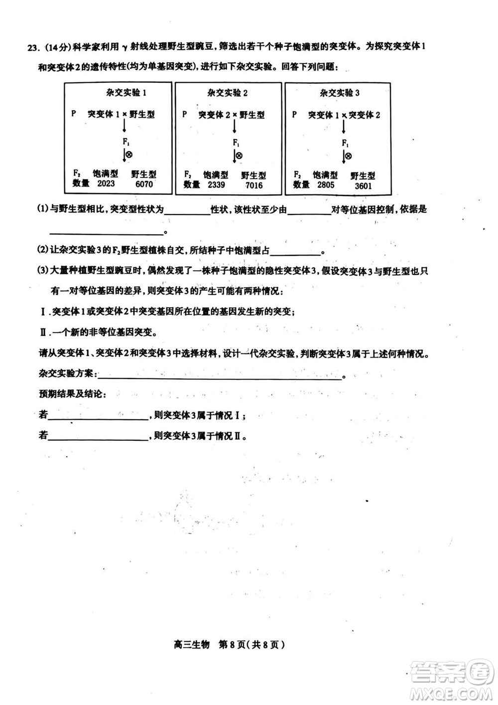 石家莊市2024屆高三上學(xué)期11月教學(xué)質(zhì)量摸底檢測生物答案