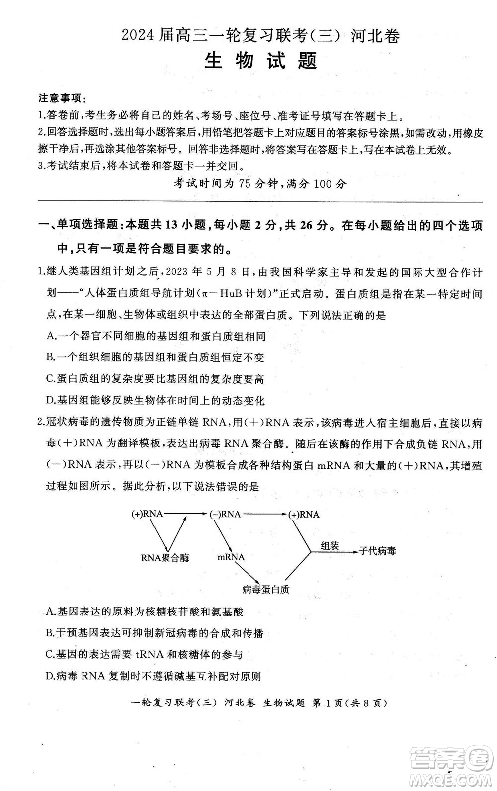 百師聯(lián)盟2024屆高三上學(xué)期一輪復(fù)習(xí)聯(lián)考三河北卷生物參考答案