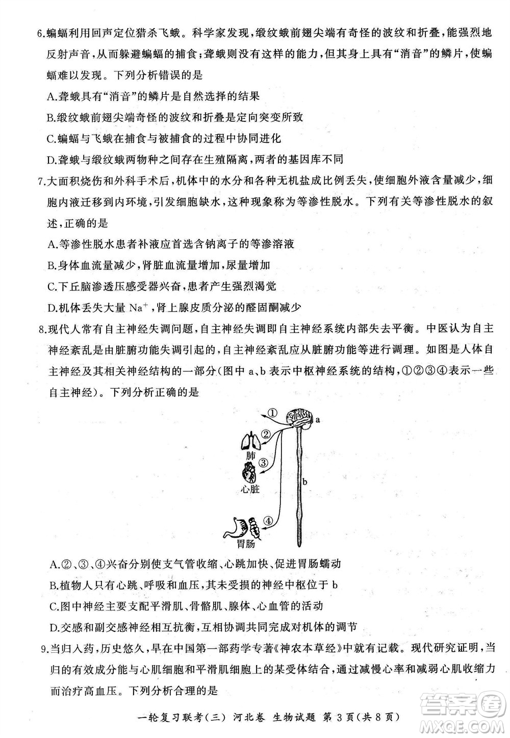 百師聯(lián)盟2024屆高三上學(xué)期一輪復(fù)習(xí)聯(lián)考三河北卷生物參考答案