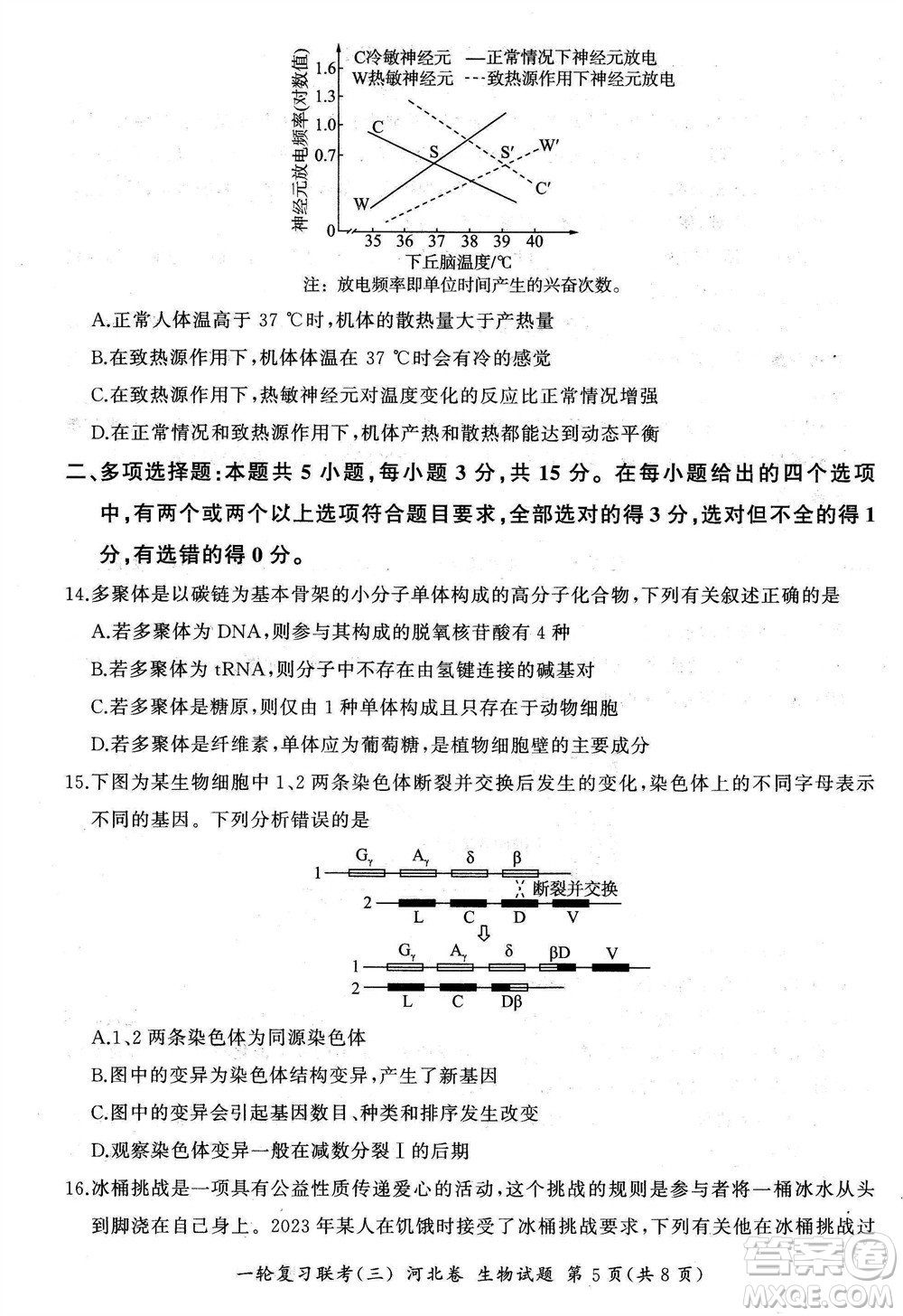 百師聯(lián)盟2024屆高三上學(xué)期一輪復(fù)習(xí)聯(lián)考三河北卷生物參考答案