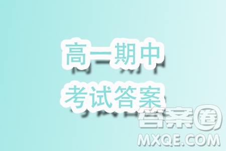 浙江9+1高中聯(lián)盟2024屆高三上學(xué)期期中考試數(shù)學(xué)試題答案