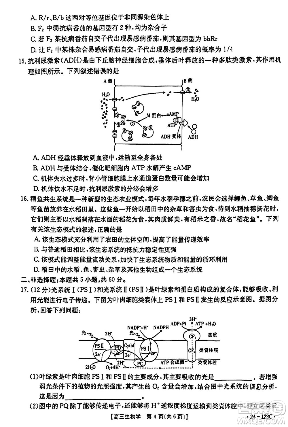 廣西金太陽2024屆高三上學(xué)期11月跨市聯(lián)合適應(yīng)性訓(xùn)練檢測卷24-123C生物答案