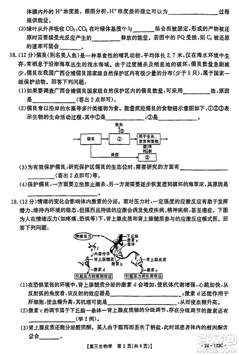 廣西金太陽2024屆高三上學(xué)期11月跨市聯(lián)合適應(yīng)性訓(xùn)練檢測卷24-123C生物答案