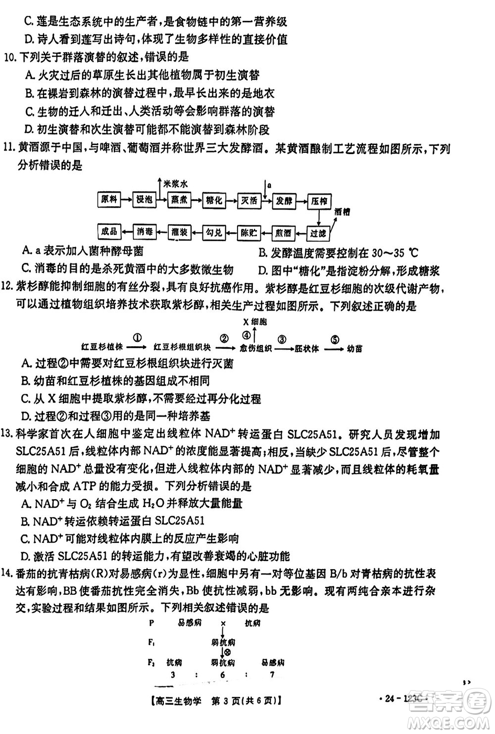 廣西金太陽2024屆高三上學(xué)期11月跨市聯(lián)合適應(yīng)性訓(xùn)練檢測卷24-123C生物答案