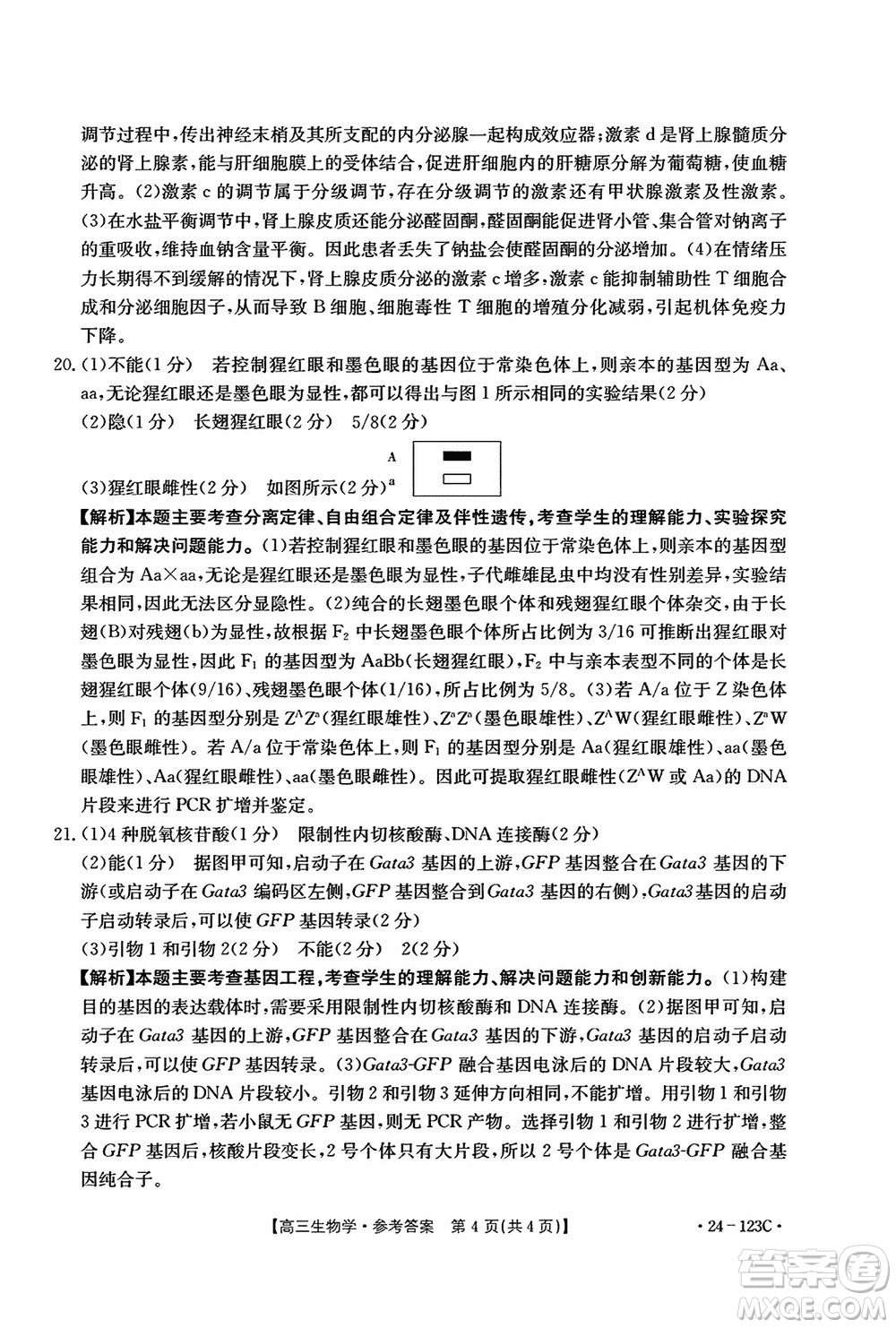 廣西金太陽2024屆高三上學(xué)期11月跨市聯(lián)合適應(yīng)性訓(xùn)練檢測卷24-123C生物答案