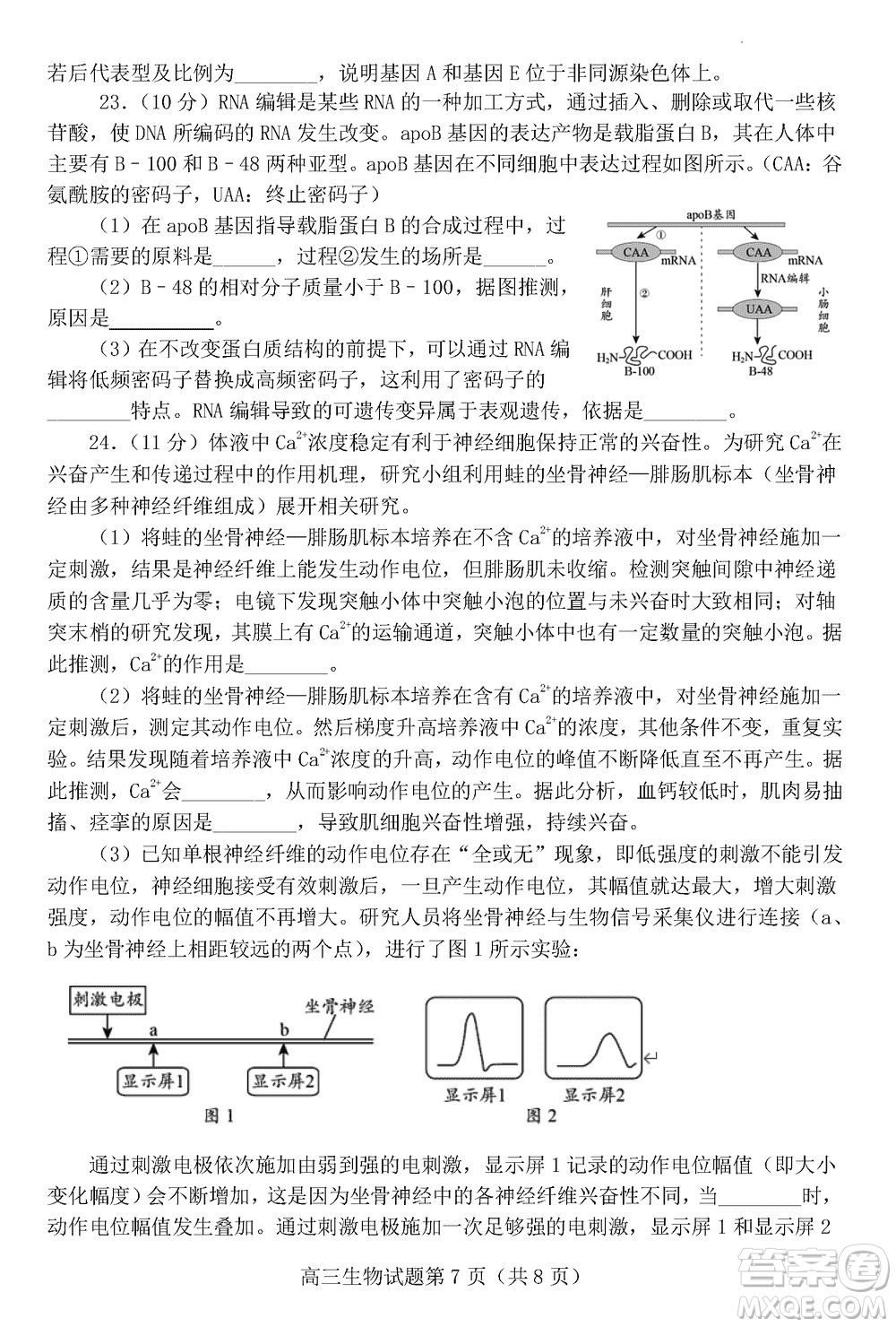 日照2021級高三上學(xué)期11月期中校際聯(lián)合考試生物參考答案