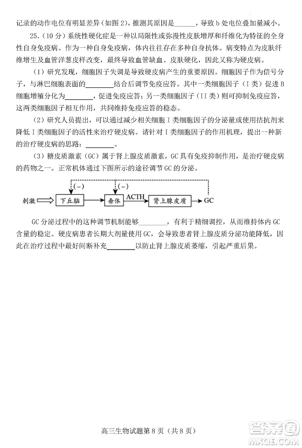 日照2021級高三上學(xué)期11月期中校際聯(lián)合考試生物參考答案