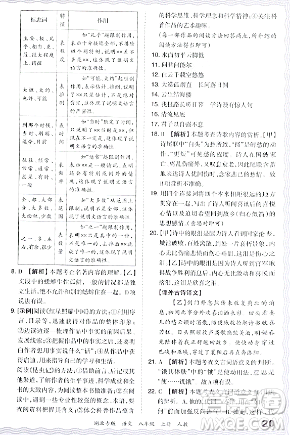 江西人民出版社2023年秋王朝霞各地期末試卷精選八年級(jí)語(yǔ)文上冊(cè)人教版湖北專版答案