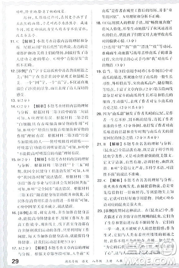 江西人民出版社2023年秋王朝霞各地期末試卷精選八年級(jí)語(yǔ)文上冊(cè)人教版湖北專版答案