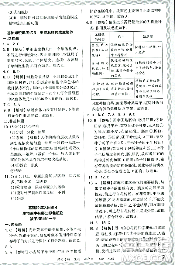 江西人民出版社2023年秋王朝霞各地期末試卷精選七年級(jí)生物上冊(cè)人教版河南專版答案