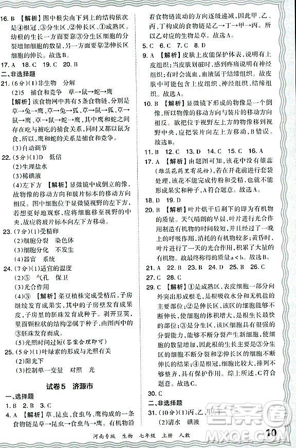 江西人民出版社2023年秋王朝霞各地期末試卷精選七年級(jí)生物上冊(cè)人教版河南專版答案