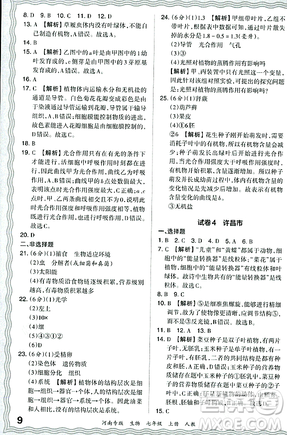 江西人民出版社2023年秋王朝霞各地期末試卷精選七年級(jí)生物上冊(cè)人教版河南專版答案
