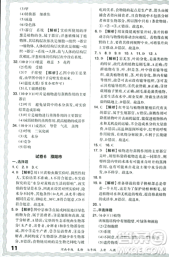 江西人民出版社2023年秋王朝霞各地期末試卷精選七年級(jí)生物上冊(cè)人教版河南專版答案