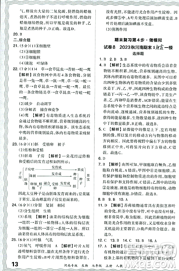 江西人民出版社2023年秋王朝霞各地期末試卷精選七年級(jí)生物上冊(cè)人教版河南專版答案