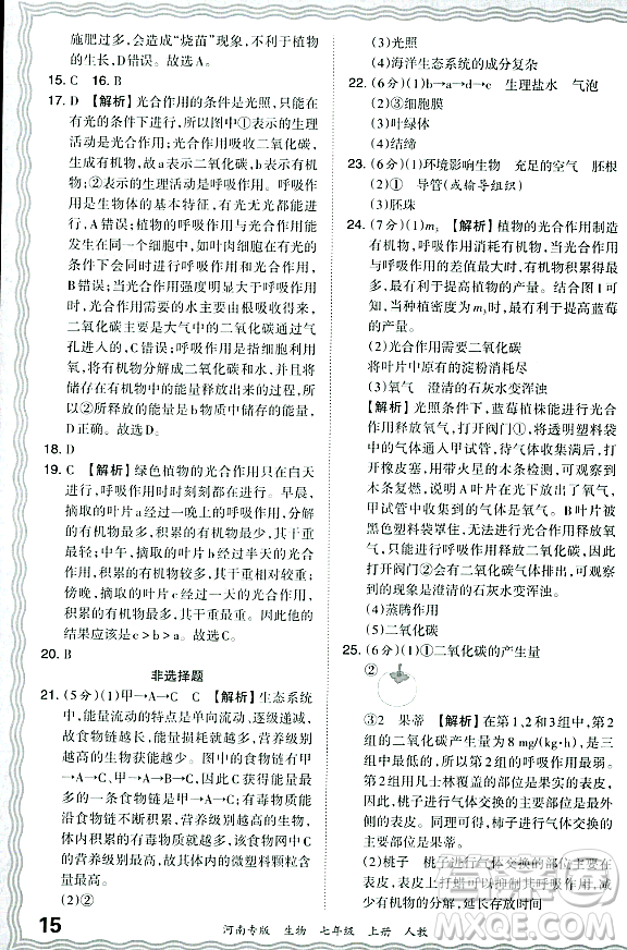 江西人民出版社2023年秋王朝霞各地期末試卷精選七年級(jí)生物上冊(cè)人教版河南專版答案