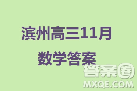 濱州市2024屆高三上學(xué)期11月學(xué)科質(zhì)量檢測數(shù)學(xué)參考答案