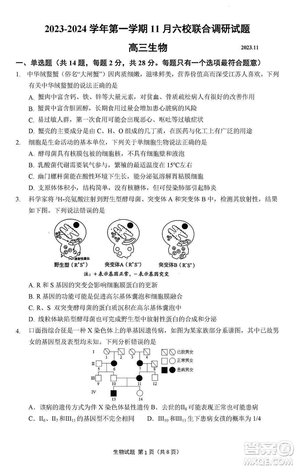 南京市六校聯(lián)合調(diào)研2023-2024學年高三上學期11月期中考試生物答案